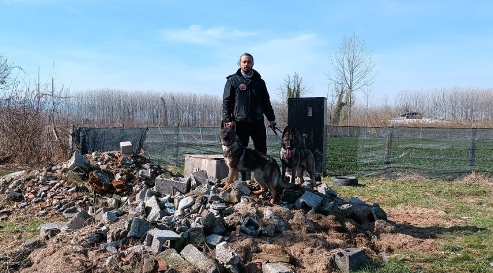 Depremde Hayat Kurtaran Köpekler, 2 Yıl Eğitim Görüyor